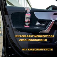 ShinyChiefs MATT EFFECT - INNENRAUM MATTPFLEGE Matte, antistatische Farbauffrischung für den Auto-Innenraum 500ml