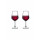 Pasabahce 6er Rotwein Weinglas ALLEGRA 490ml Gläser-set