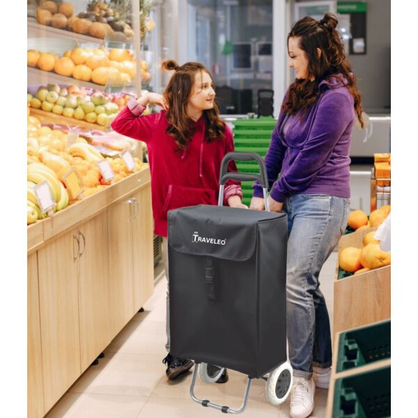 45 L Einkauf Trolley Einkaufswagen Shopping Trolley Tasche Aluminium Stabil