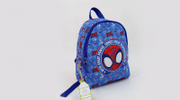 Spiderman & His Amazing Friends 23x28 CM Kindergarten...