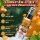 FLAVOUR BOMB - SWEET ORANGE Premium Lufterfrsicher Autoduft Weihnachtsduft Spray 50 ml