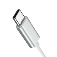 Joyroom JR-EC06 USB-C Kabelkopfhörer  In-Ear-Kopfhörer – Silber 1200 mm