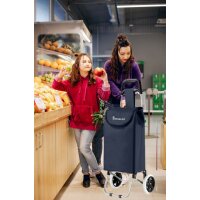 30L Einkauf Trolley Einkaufswagen Shopping Trolley Tasche Aluminium