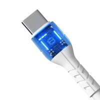 Devia 30er Set Kabel USB Typ C zu USB Typ C 1m 3A  weiß zum Laden und Daten übertragen