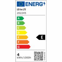 LED line LITE LED-Glühbirne E27 4W 2700K 480lm 220-240V FILAMENT A60 GLOBE