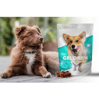 Gelenkpflege Geleebohnen Leckerli für kleine Hunde 60 Stück, 180g Ergänzungsfutter