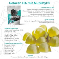 Gelenkpflege Geleewürfel mit Hyaluronsäure für Pferde, 450g Apfelgeschmack