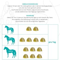 Gelenkpflege Geleewürfel mit Hyaluronsäure für Pferde, 450g Apfelgeschmack