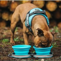 Zwei faltbare Hundenäpfe mit Hunde Wasserflasche für Unterwegs Reisezubehör für Haustiere Blau