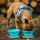 Zwei faltbare Hundenäpfe mit Hunde Wasserflasche für Unterwegs Reisezubehör für Haustiere Blau