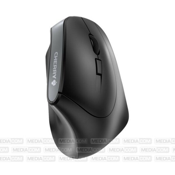 Ergonomische Maus mit 5 Tasten 1200 DPI mit USB-Empfänger Kabellos in Schwarz