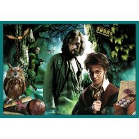 Harry Potter 10-in-1 Puzzle Unendlicher Spaß mit der Zaubererwelt