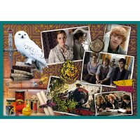 Harry Potter 10-in-1 Puzzle Unendlicher Spaß mit...