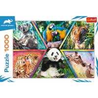 1000 Teile Puzzle Animal Kingdom Lebendige Tiermotive für Puzzler