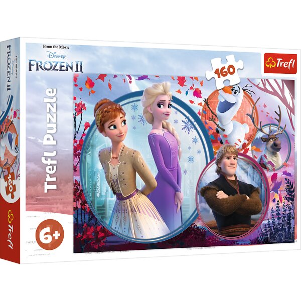 Frozen Puzzle 160 Pieces Lustiges Design mit Elsa und Anna für Kinder