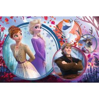 Frozen Puzzle 160 Pieces Lustiges Design mit Elsa und Anna für Kinder