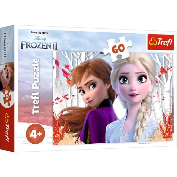 Frozen Puzzle für Kinder 60 PCS Magische Szenen aus Arendelle