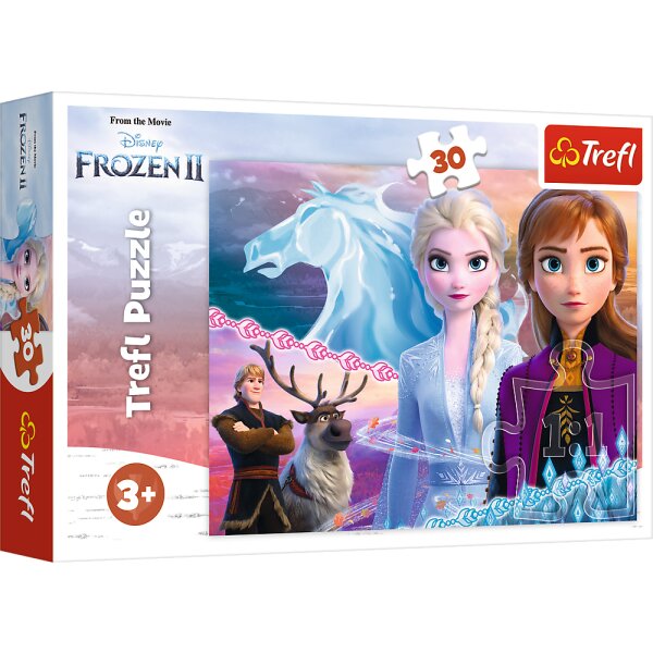 Frozen Puzzle 30 PCS Magische Abenteuer mit Anna und Elsa