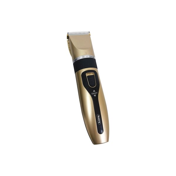 Clipper wiederaufladbar Rosberg R51810K, USB, 5W, Gold