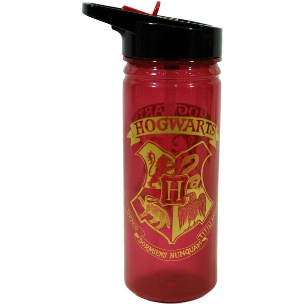 Harry Potter Trinkflasche Wasserflasche Ideal für die Schule oder Unterwegs