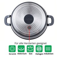 Kochtopf Aluguss Glasdeckel Ø24cm Induktion Marmorbeschichtung Suppentopf Pfanne