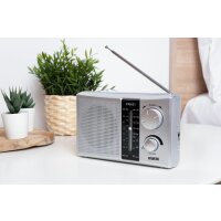 Portable radio
PR451 Sliver