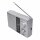 Portable radio
PR451 Sliver