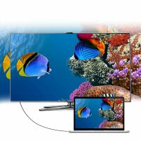 Choetech unidirektionales USB Typ C auf Display Port 4K Kabel 1,8m Schwarz (XCP-1801BK)