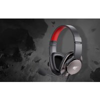 HAVIT H2030S Gaming Headphones mit Mikrofon, Gaming Headset 3,5-mm-Klinkenstecker Schwarz