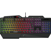 SCHWAIGER -GT108- Gaming Tastatur | RGB Beleuchtung | 19...